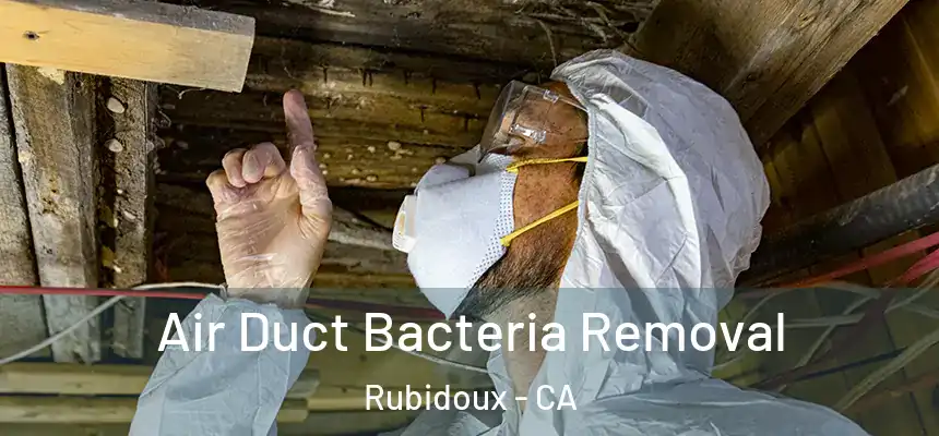 Air Duct Bacteria Removal Rubidoux - CA