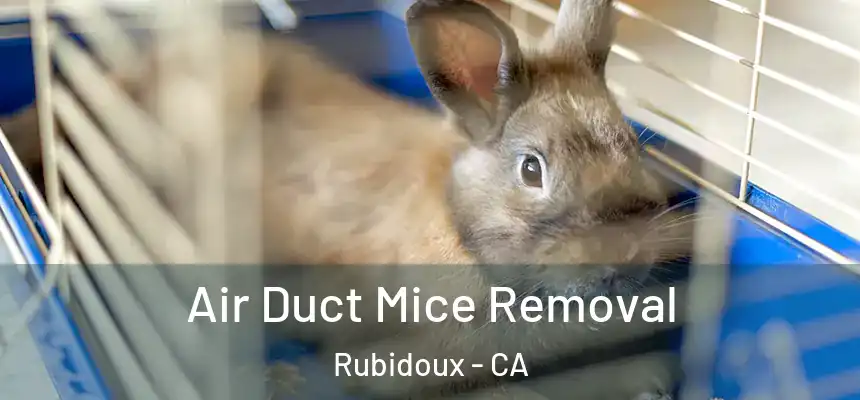  Air Duct Mice Removal Rubidoux - CA
