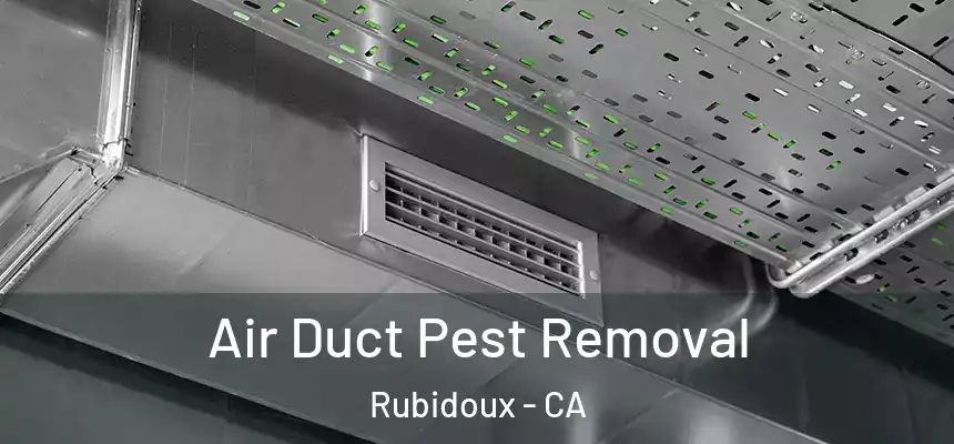  Air Duct Pest Removal Rubidoux - CA