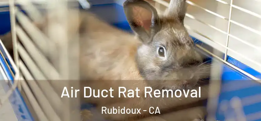 Air Duct Rat Removal Rubidoux - CA