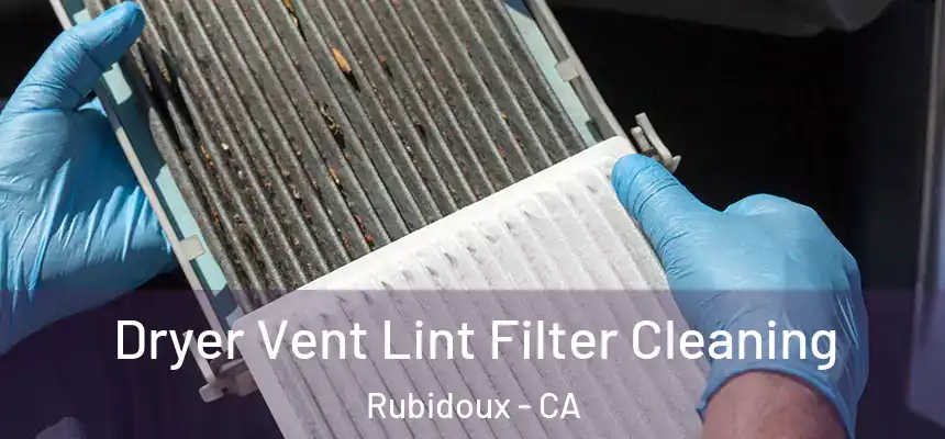  Dryer Vent Lint Filter Cleaning Rubidoux - CA