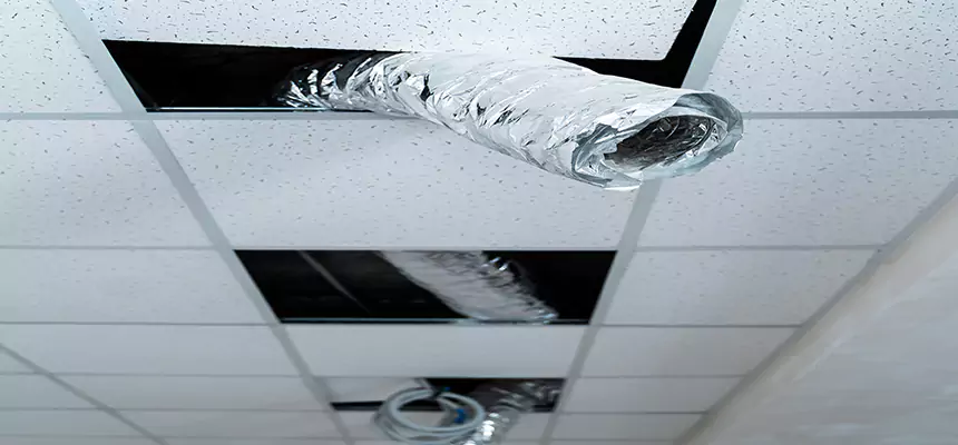 Our Air Duct Pet Hair Removal Services in Rubidoux, CA