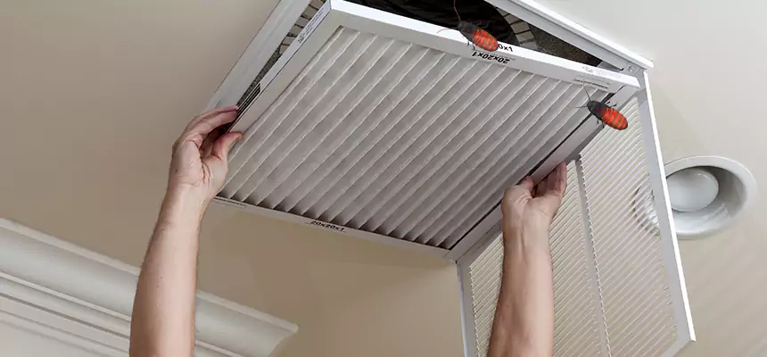 Our Insect Removal from Air Ducts Services in Rubidoux, CA