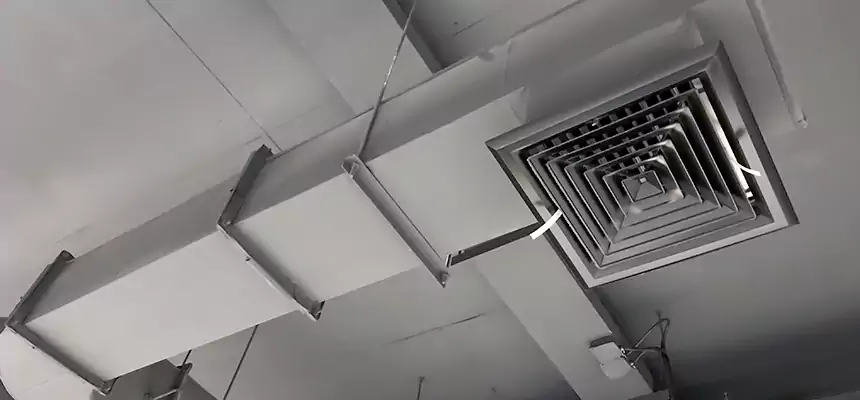 Our Pest Removal From Ducts Services in Rubidoux, CA