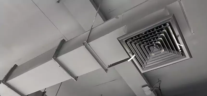 Our Rodent Droppings In Vents Services in Rubidoux, CA