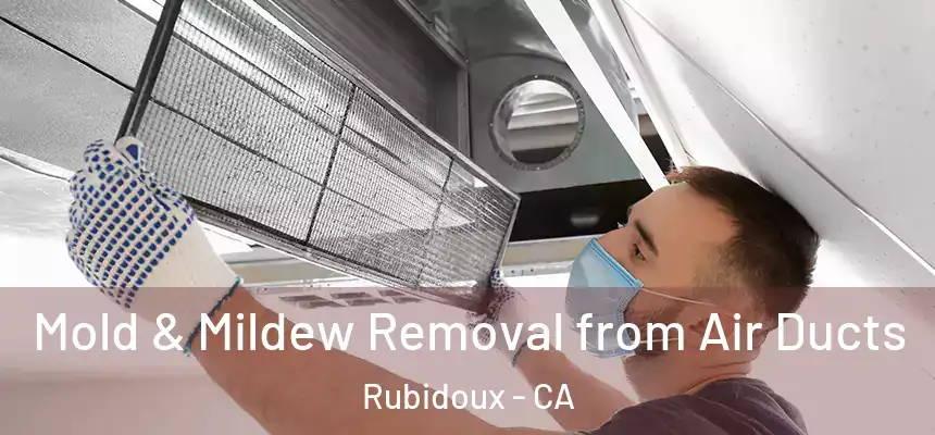 Mold & Mildew Removal from Air Ducts Rubidoux - CA