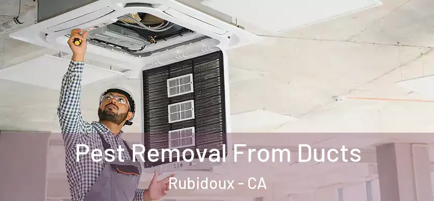 Pest Removal From Ducts Rubidoux - CA