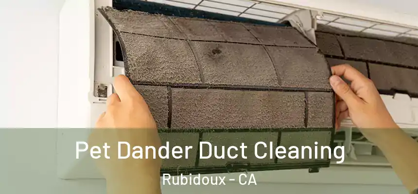 Pet Dander Duct Cleaning Rubidoux - CA