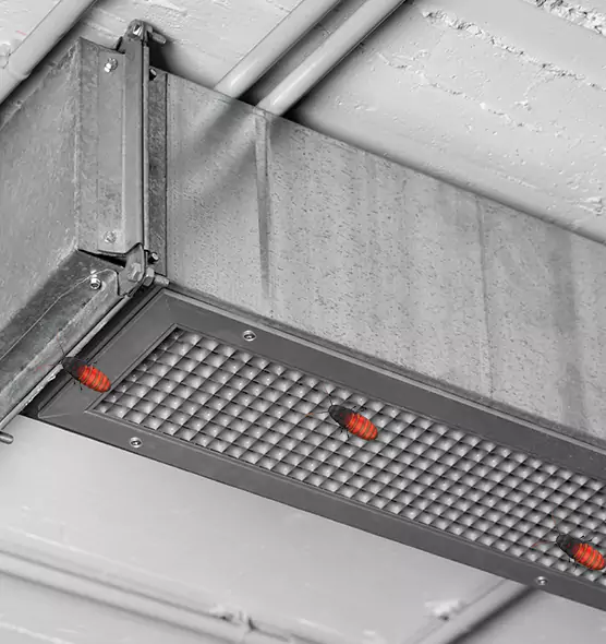 About Air Duct Cockroach Removal in Rubidoux, CA