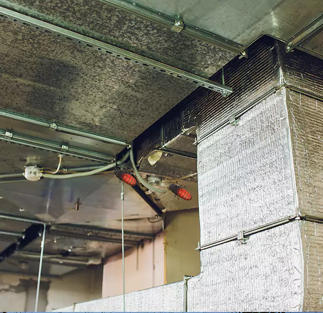 Why Homeowners & Businesses Trust Us in Rubidoux, CA?