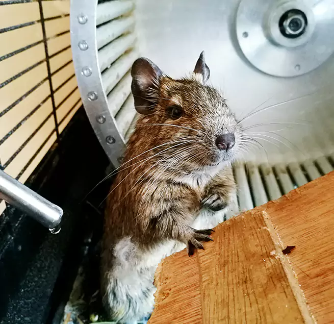 Why Homeowners & Businesses Trust Us Rubidoux, CA