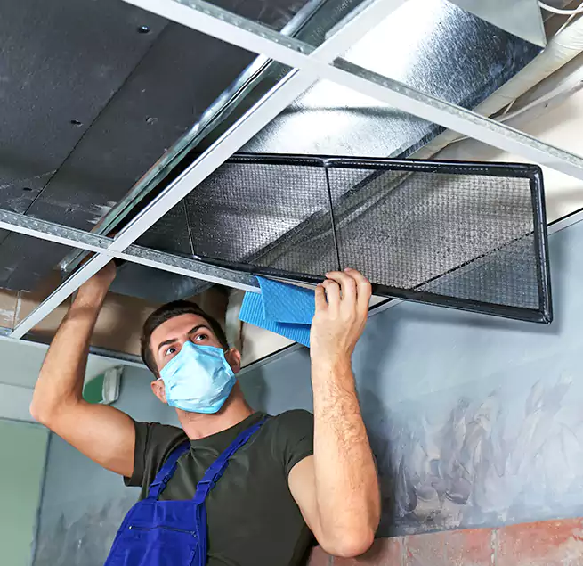 Why Homeowners Businesses Trust Us in Rubidoux, CA