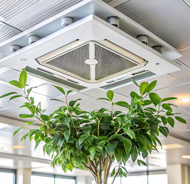 Why Homeowners & Businesses Trust Us in Rubidoux, CA?